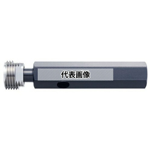 緑であること活動の領域