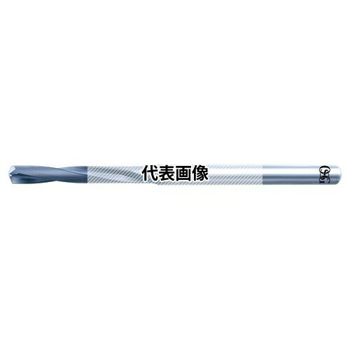 緑であること活動の領域