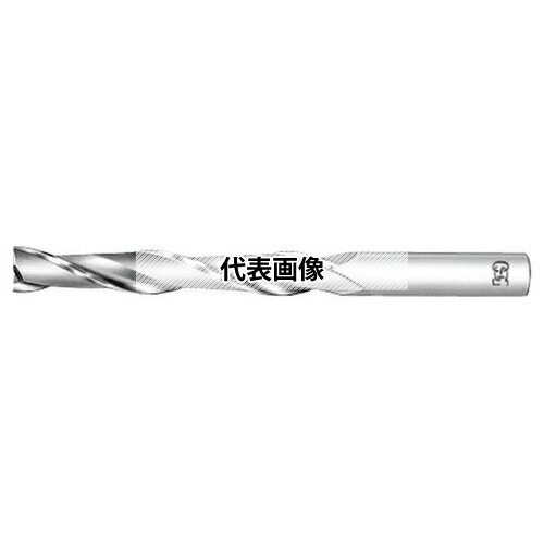 緑であること活動の領域