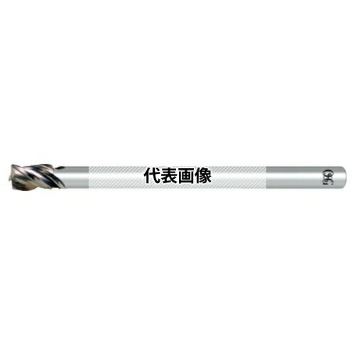 緑であること活動の領域