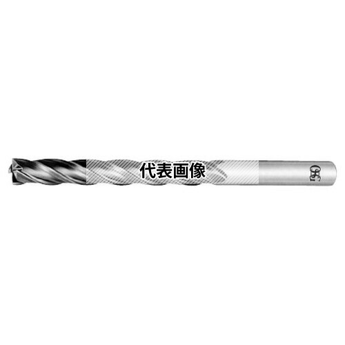 緑であること活動の領域