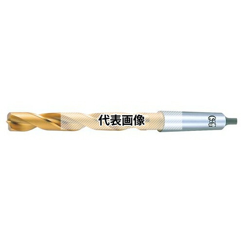 緑であること活動の領域 穴あけ工具用アクセサリー-ドリル