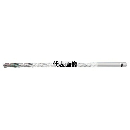 緑であること活動の領域