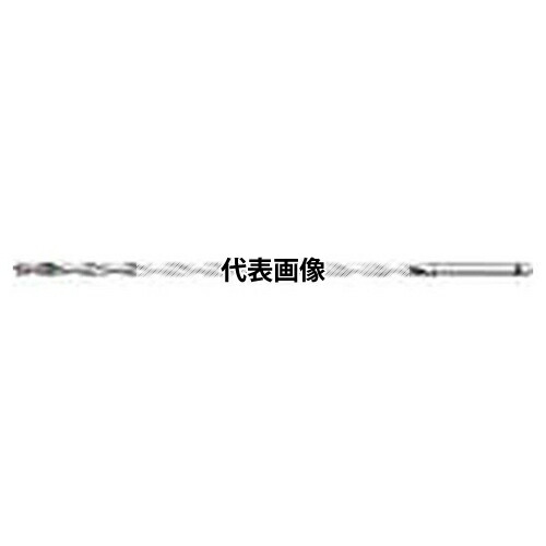 緑であること活動の領域