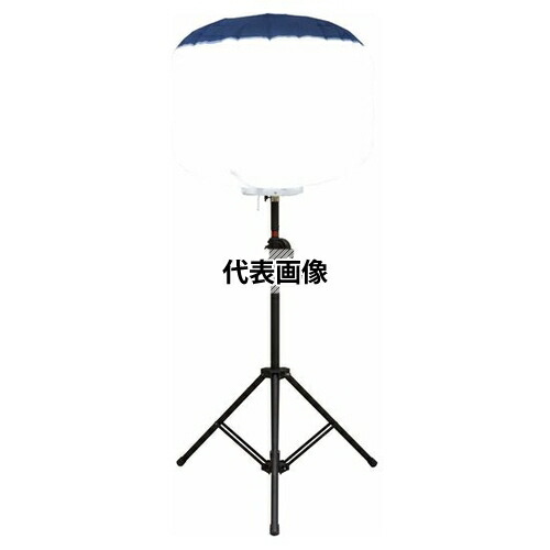 緑であること活動の領域
