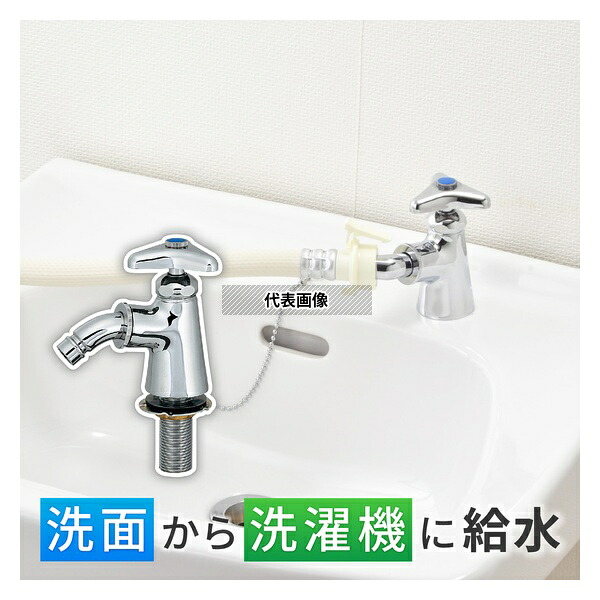 緑であること活動の領域