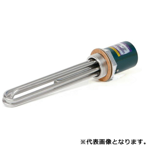 緑であること活動の領域