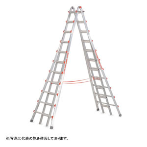 緑であること活動の領域
