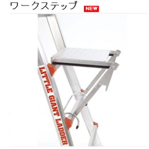 緑であること活動の領域