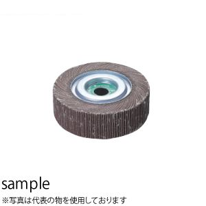 HiKOKI（日立工機） フラップホイール #100 No.302486 5個入