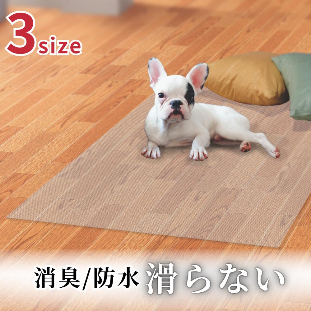 緑であること活動の領域