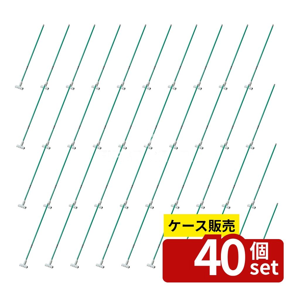 緑であること活動の領域