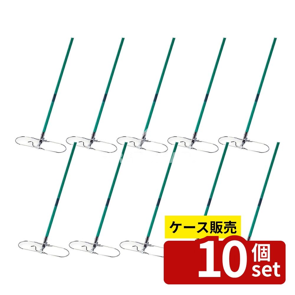 緑であること活動の領域