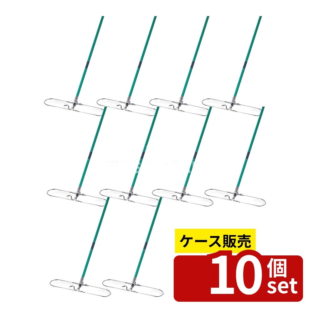 緑であること活動の領域