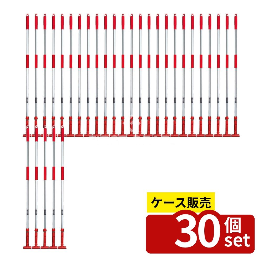 緑であること活動の領域