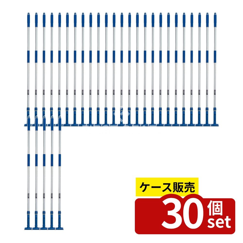 緑であること活動の領域