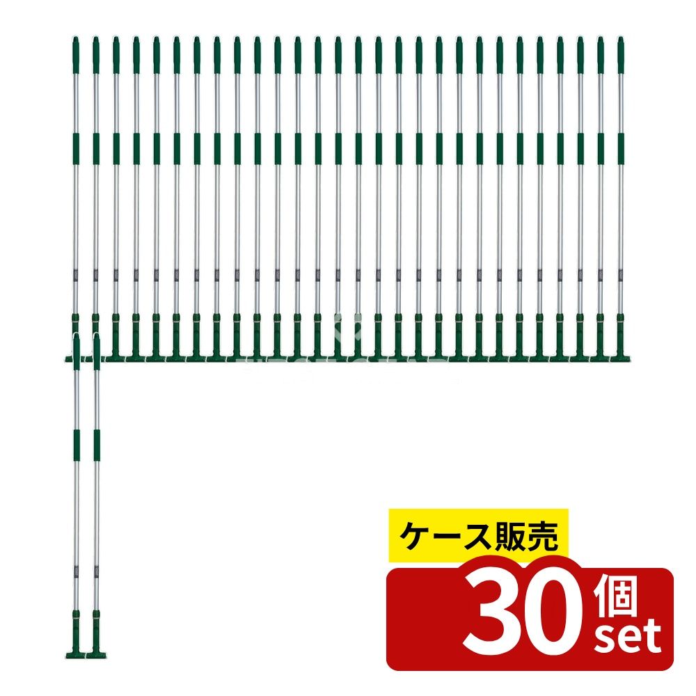 緑であること活動の領域