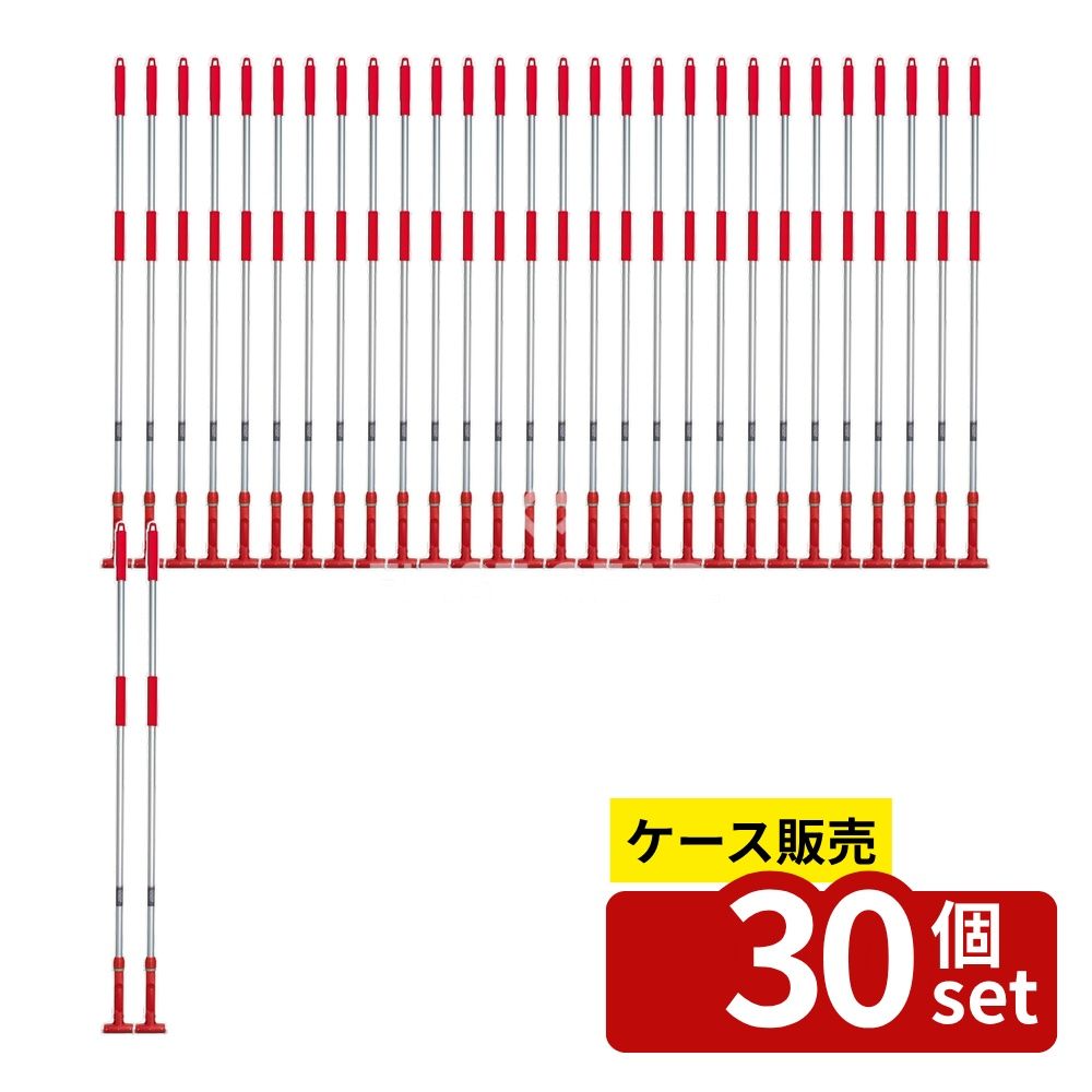 緑であること活動の領域