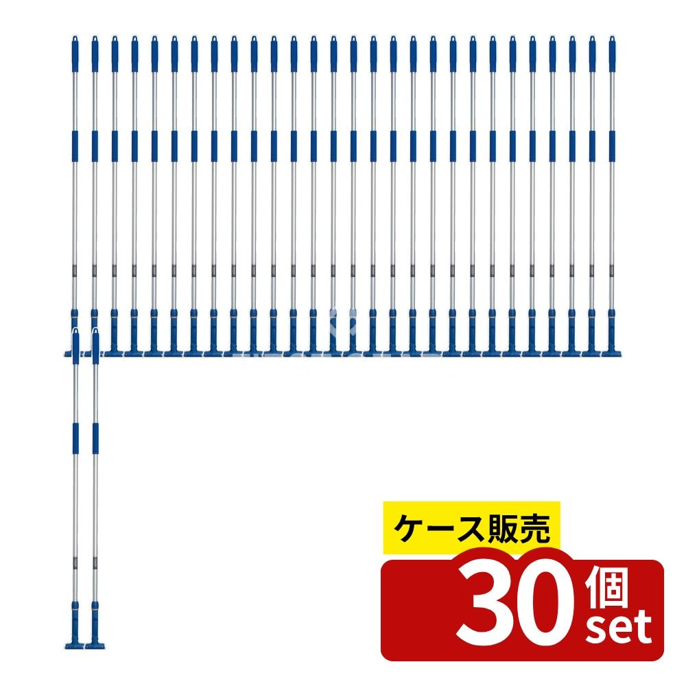 緑であること活動の領域