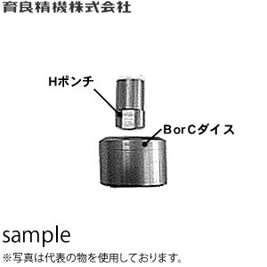 緑であること活動の領域