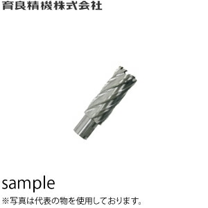 緑であること活動の領域