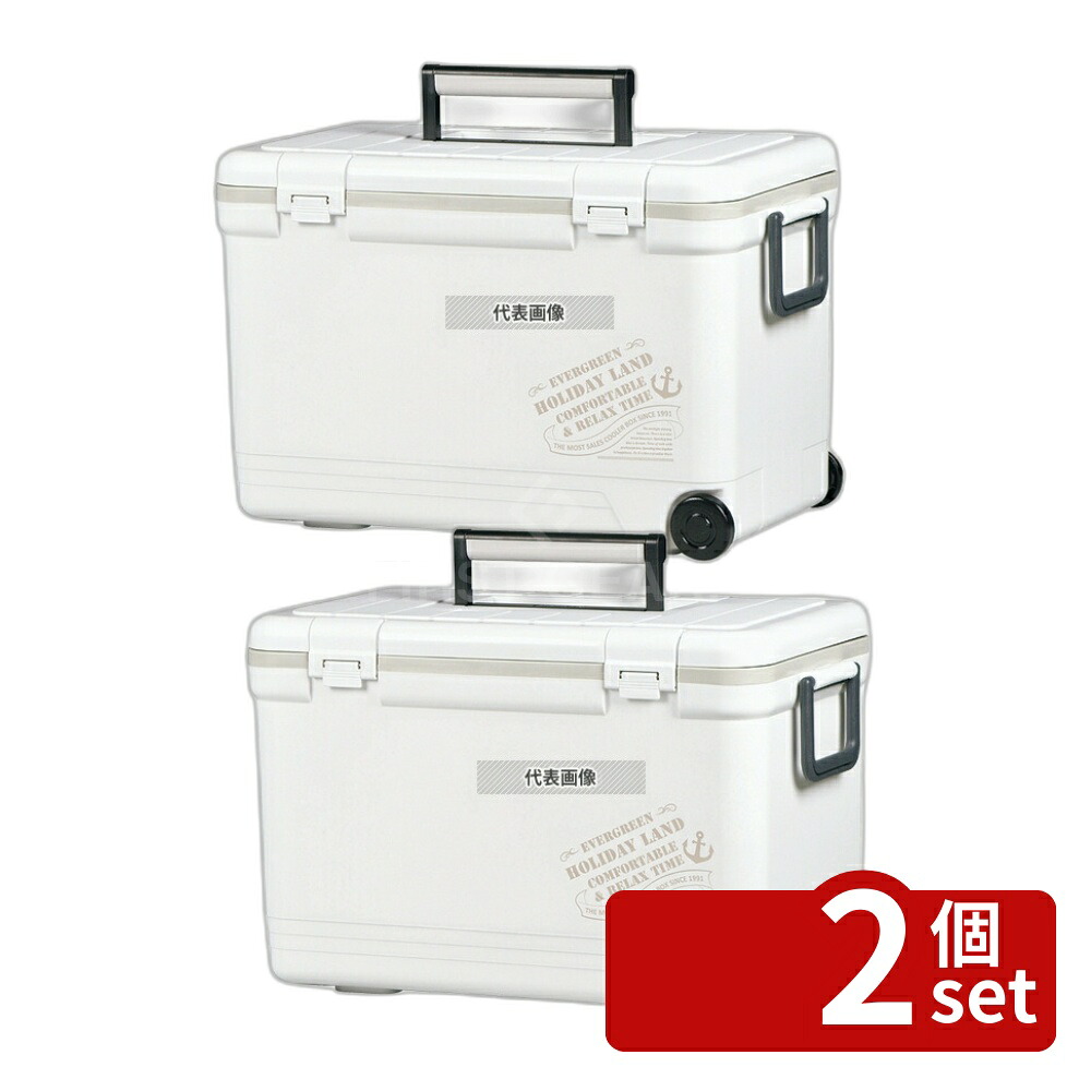 【2個セット】伸和 ホリデーランドクーラー 27H 060194 ホワイト 27L 540×295×H349 クーラー No.1039721