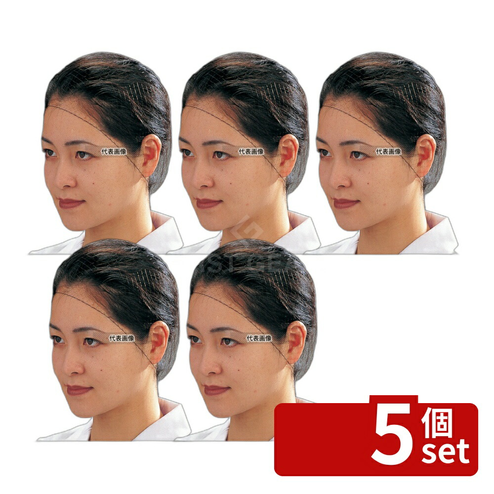 【5個セット】Pal ヘアーネット (100枚入) Lサイズ T20664 ユニフォーム No.1167000