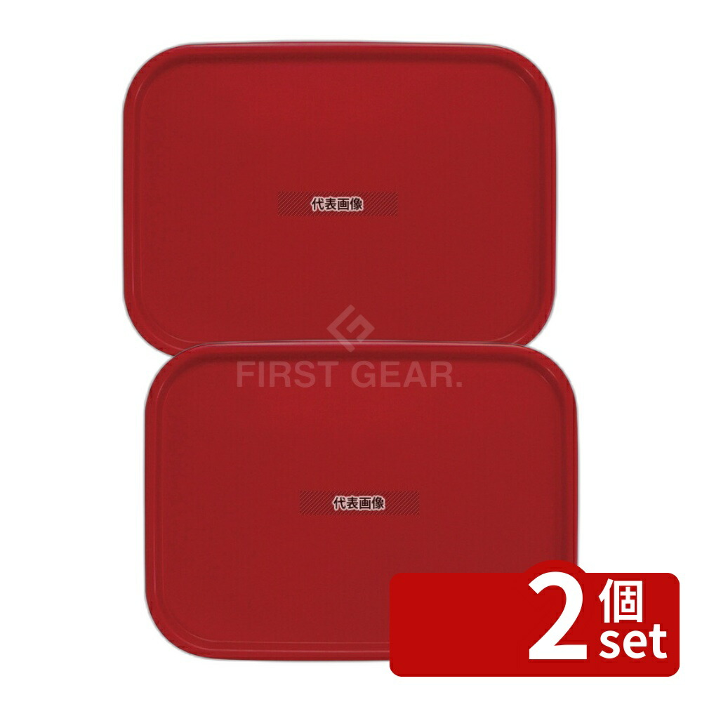 【2個セット】橋本達之助工芸 カラーコレクショントレー L ダークレッド 420×310×H18mm No.1107600