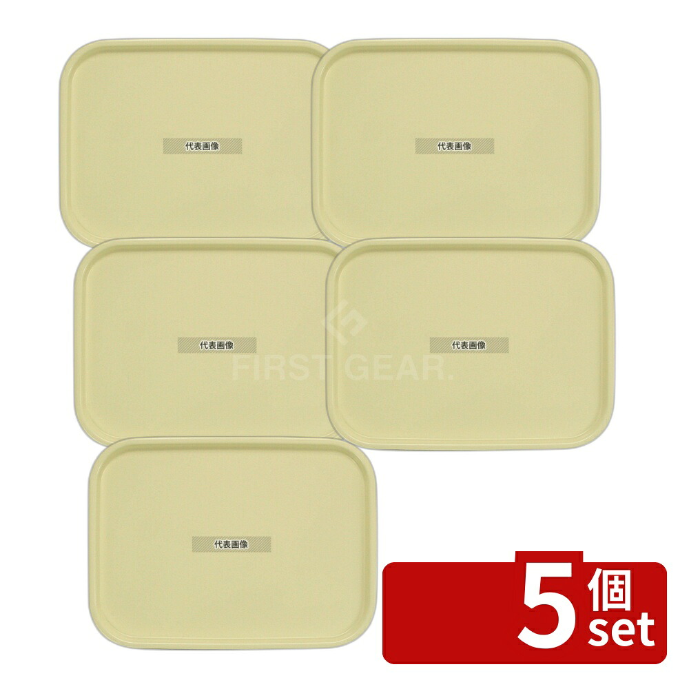 【5個セット】橋本達之助工芸 カラーコレクショントレー L ベージュ 420×310×H18mm No.1107800