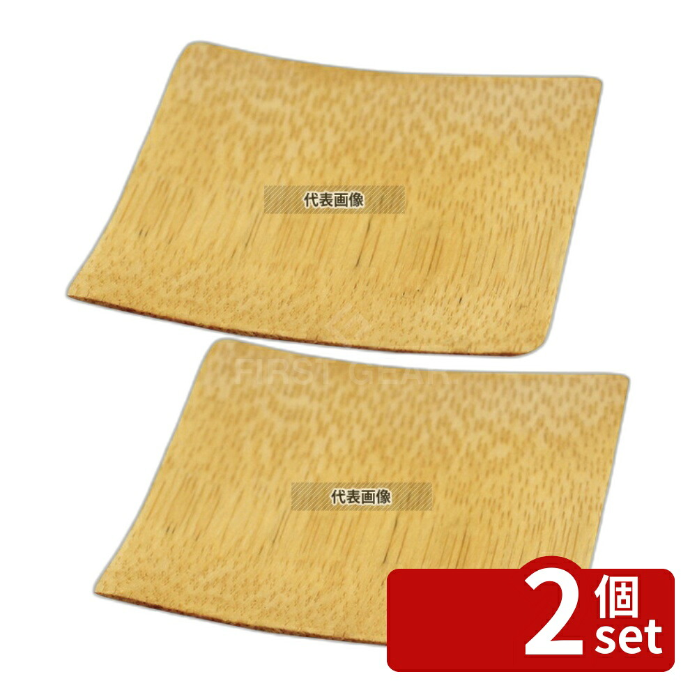 【2個セット】テーブルクラフト 使い捨て 角型プレート (48枚入) 63×63 BAMDSBAM2 60×60×H9 ビュッフェ/宴会 No.0956610