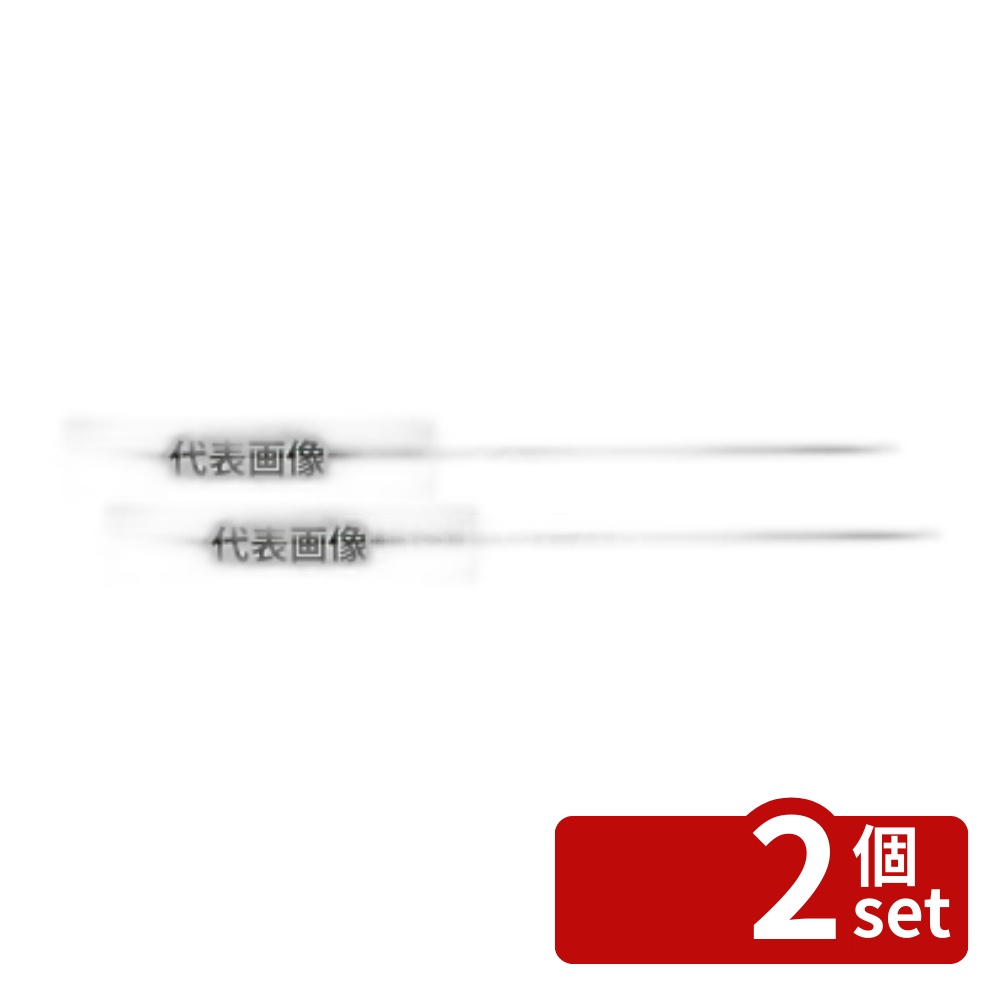 【2個セット】江部松商事 18-8(ステンレス) 丸 魚串 (20本入) φ3.0×540mm φ3.0×540 串 No.0841001