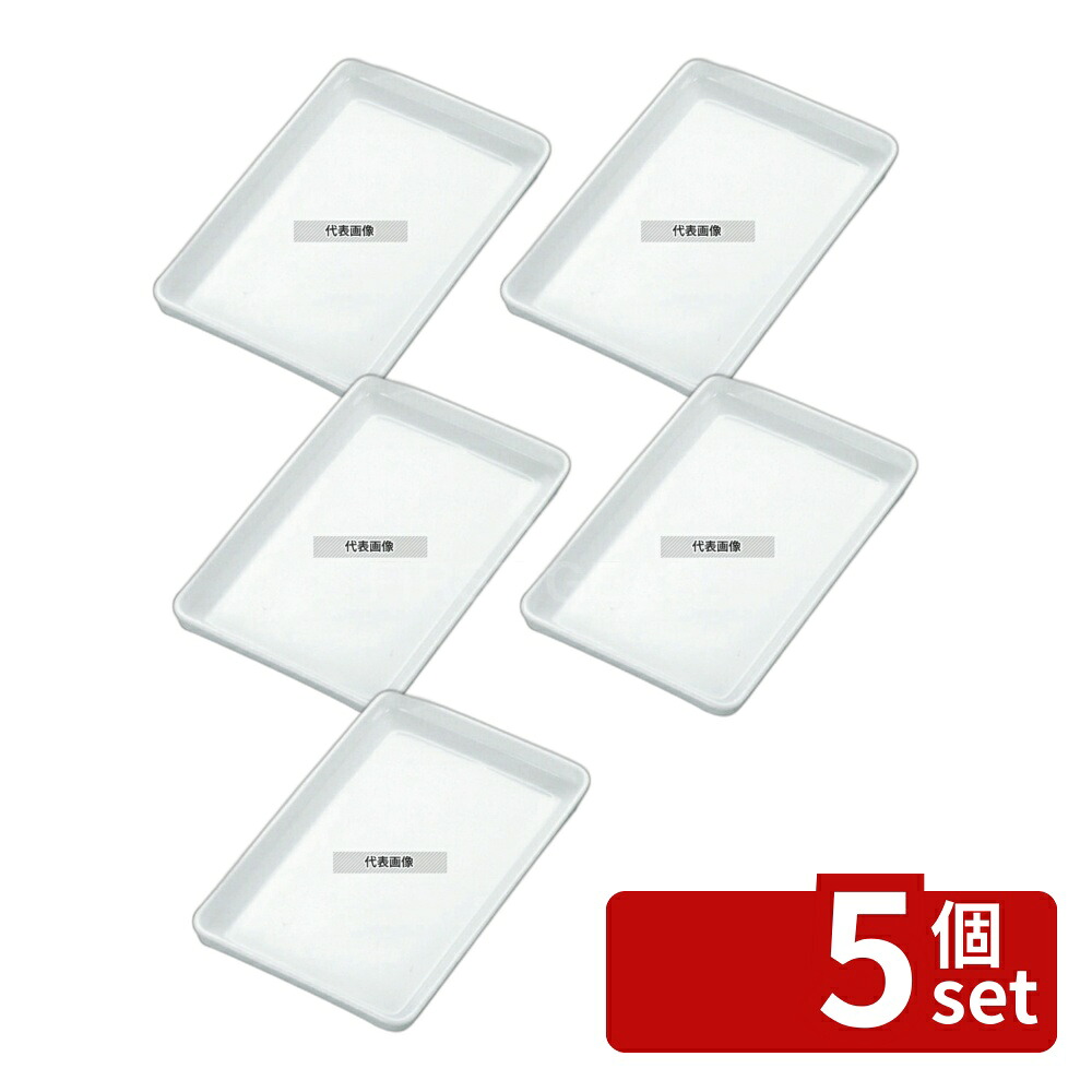 【5個セット】白磁オーブンウェア イケア 浅口 バット 10インチ オーブンウェア 221&times;168&times;H31mm No.6099000｜ファーストFACTORY