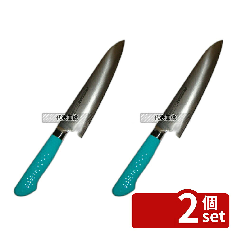 【2個セット】長谷川化学工業 ハセガワ 抗菌カラー庖丁 牛刀 MGK-24 24cm グリーン 376 牛刀 No.6606240