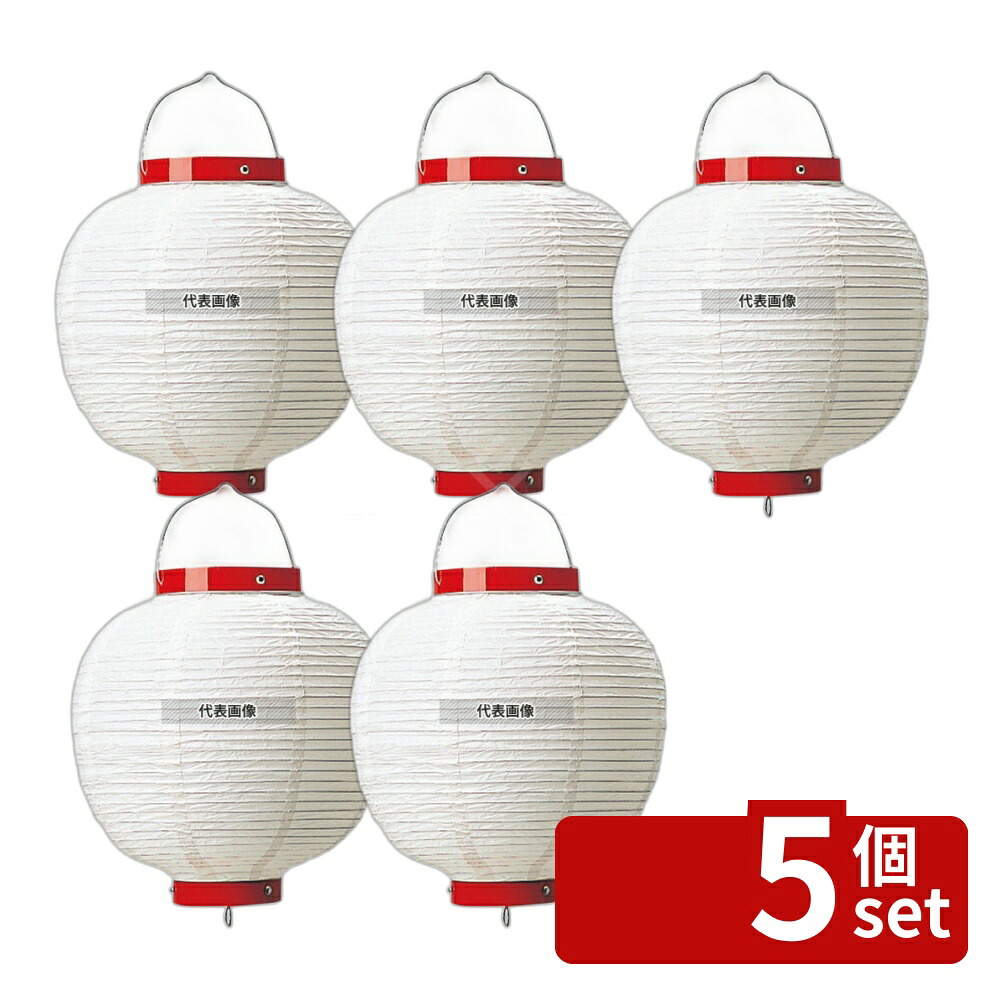 【5個セット】丸 ビニール提灯 無地 9号 白 φ240×H350 φ240×H350(つるの先からリングまでのサイズ) 提灯 No.3748600