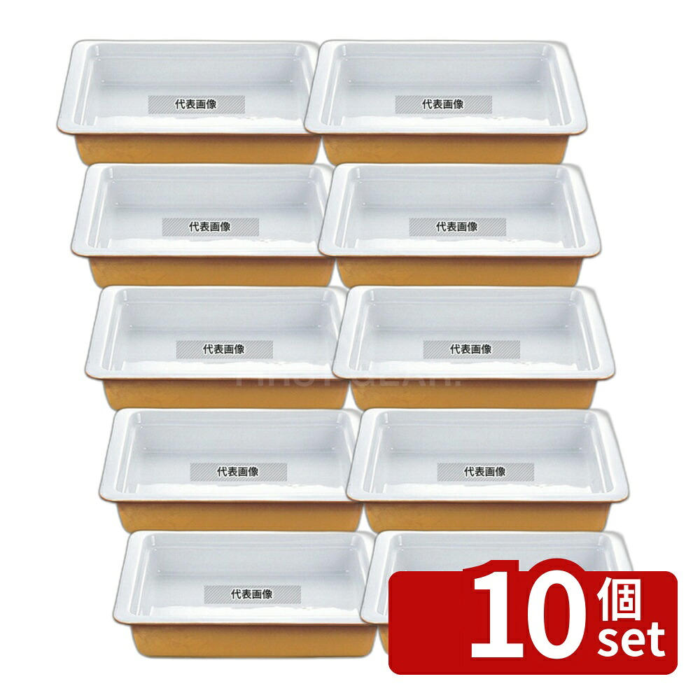 【10個セット】バレンチナ オーブンウェア ガストロノームパン 2/3 H65mm カラー オーブンウェア 354×323mm No.8741900