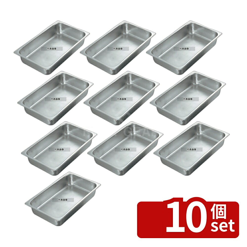【10個セット】18-8(ステンレス) サネックス ホテルパン 13917A 1/9 (H65) 0.6L 176×108 ホテルパン No.8676200