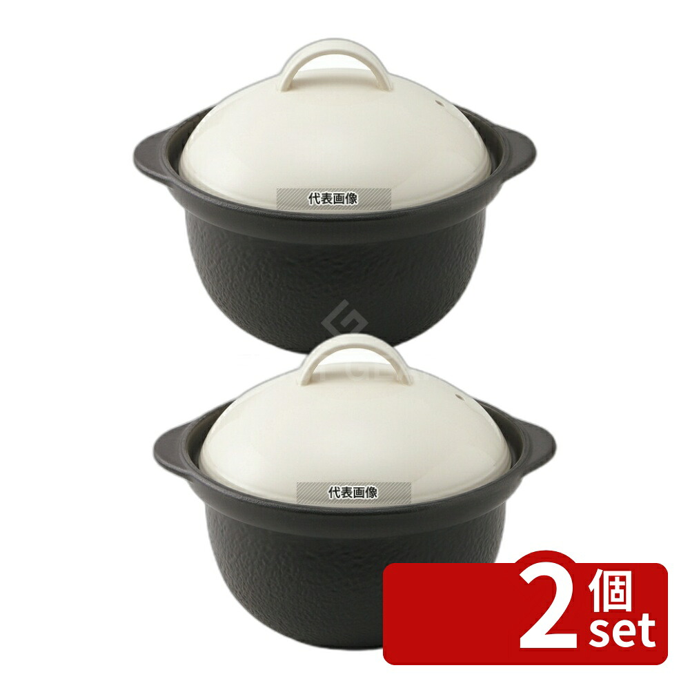 【2個セット】サーマテック 直火炊飯土鍋 (3合炊･内蓋付) アイボリー TDG04 1.96L 外径:22.2 炊飯器/スープジャー No.6972370