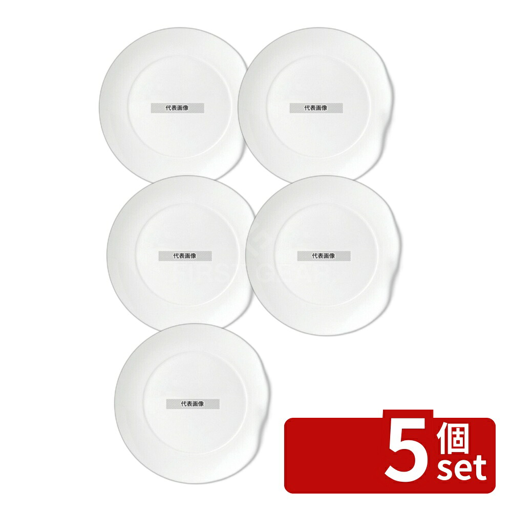 【5個セット】アシュラー プレート 27cm 5C113601101 270&times;H20 和/洋/中 食器 No.7211810｜ファーストFACTORY