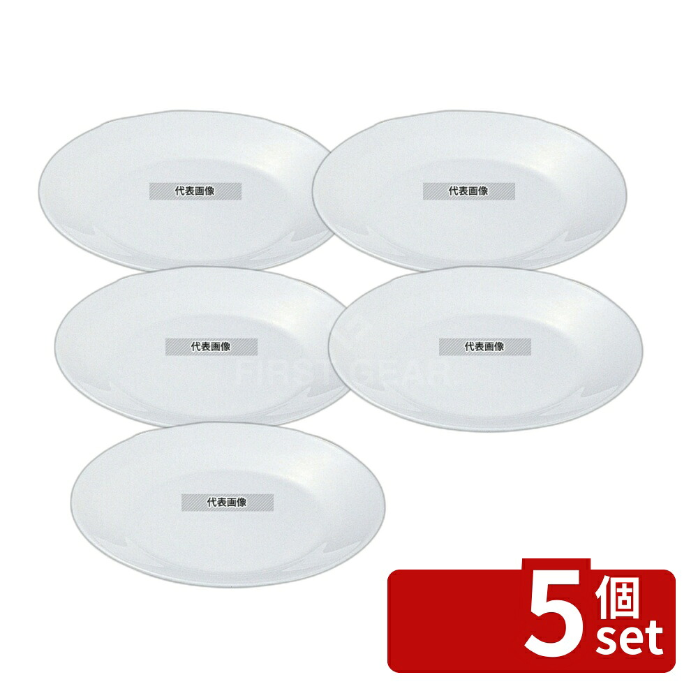 【5個セット】アルコパル レストラン ミート皿 22522 φ235×H27 和/洋/中 食器 No.7597500