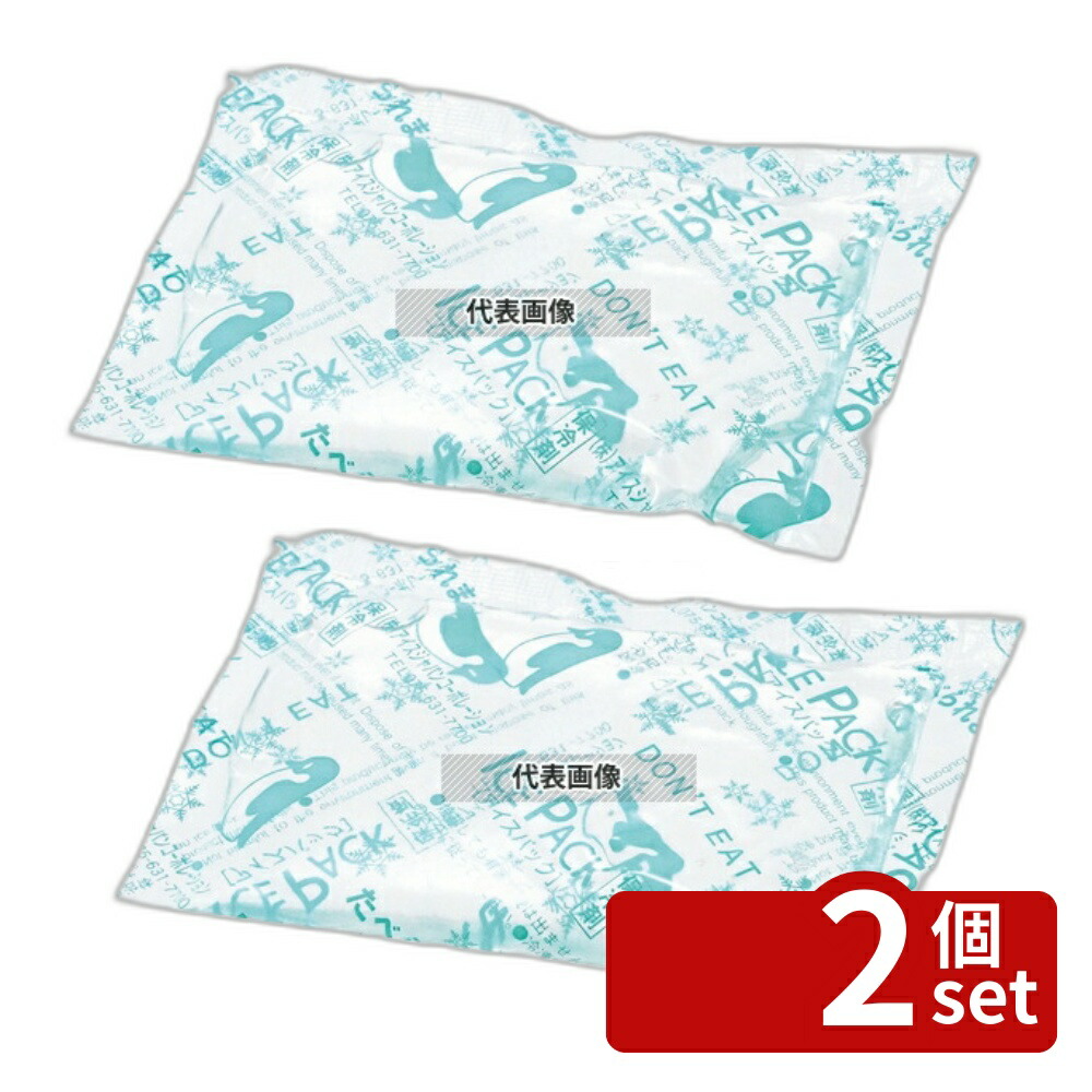 【2個セット】アイスジャパン 保冷剤 アイスパック プチ (400入) 1個:50×90 運搬/ケータリング No.7487100