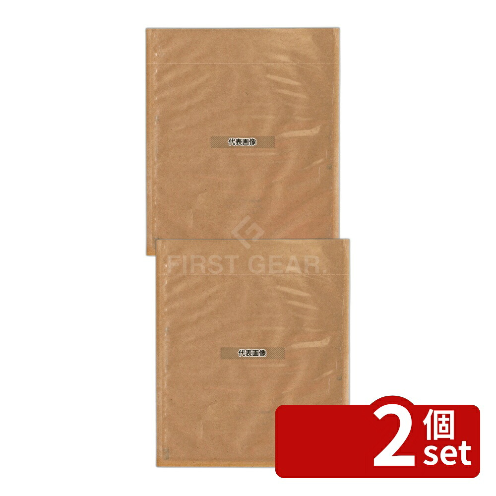 【2個セット】耐熱揚物袋 エコテトラ150 未晒 (100枚入) 534549 150×H180 袋 No.2113610
