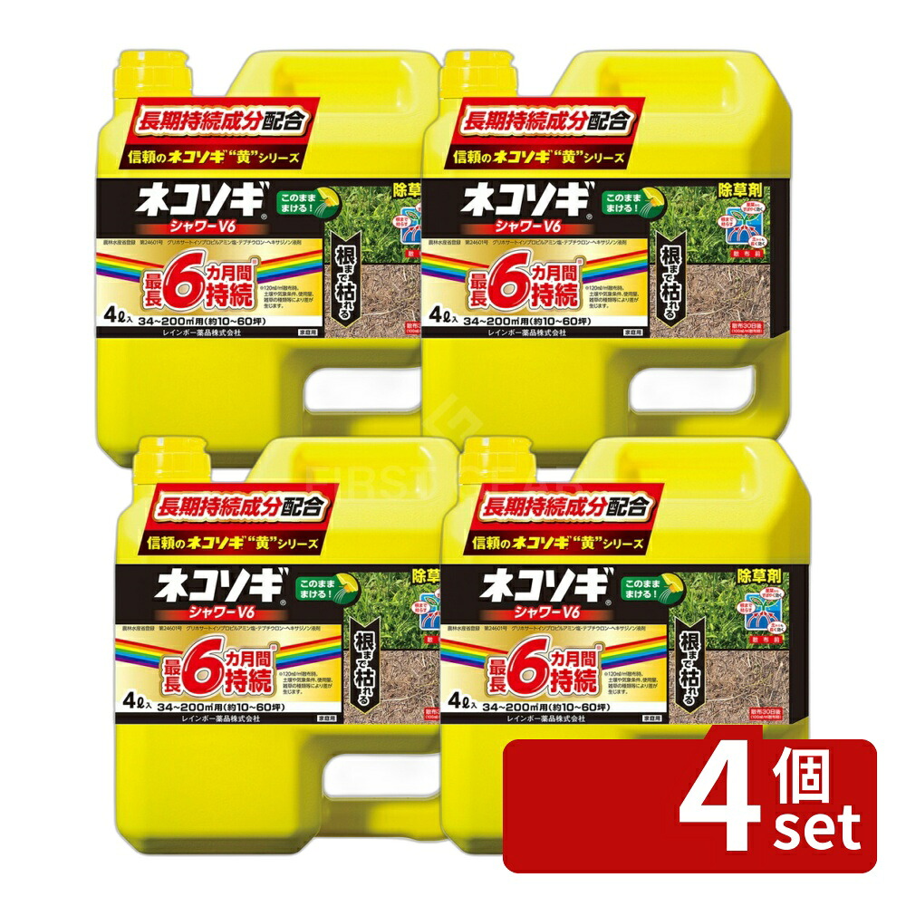 緑であること活動の領域