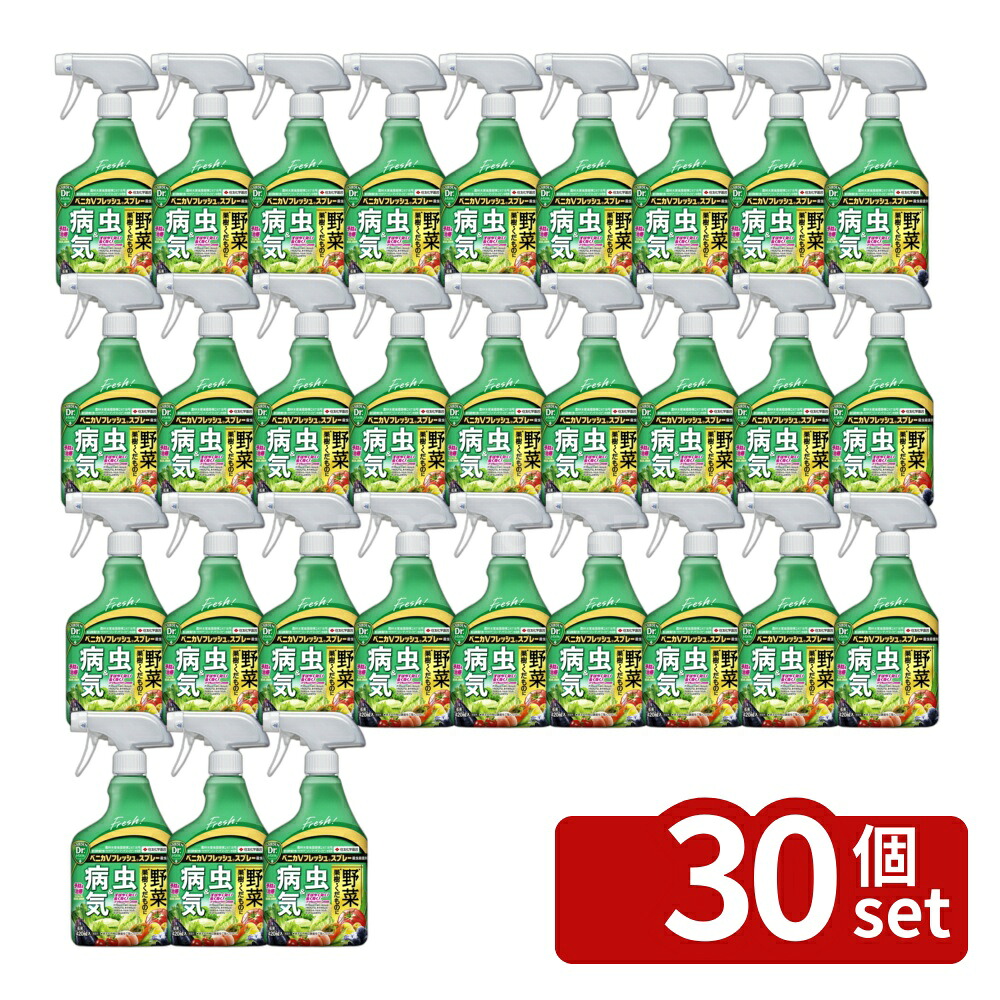 【30個セット】住友化学園芸 ベニカVフレッシュスプレー 420ml [4975292604563]｜ファーストFACTORY 17,470円