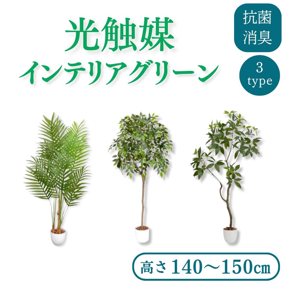 ファミリー・ライフ 光触媒 インテリアグリーン [種類：アレカヤシ/パキラ/ベンジャミン] | 人工観葉植物 フェイクグリーン