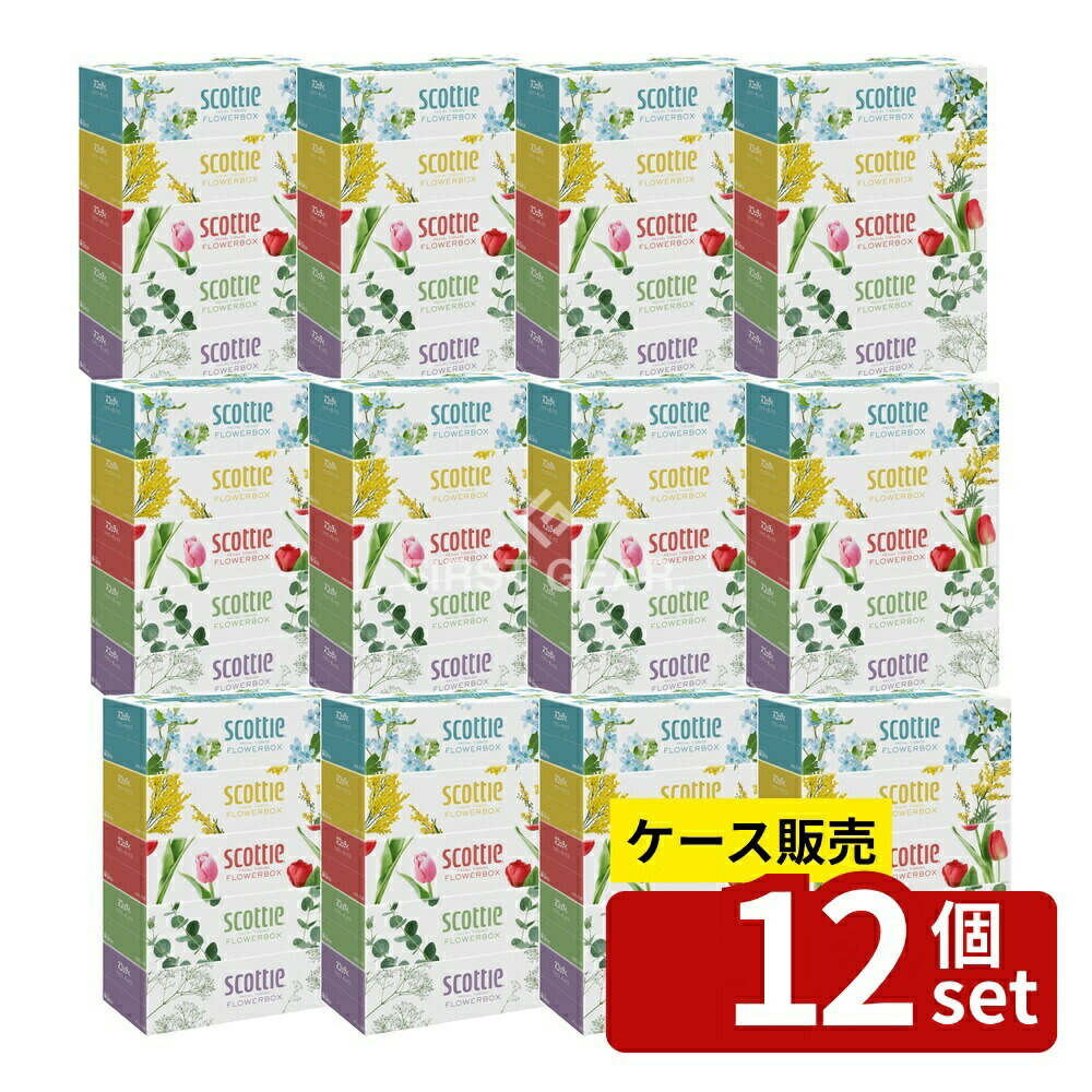緑であること活動の領域 日用消耗品-ティッシュ・トイレットペーパー