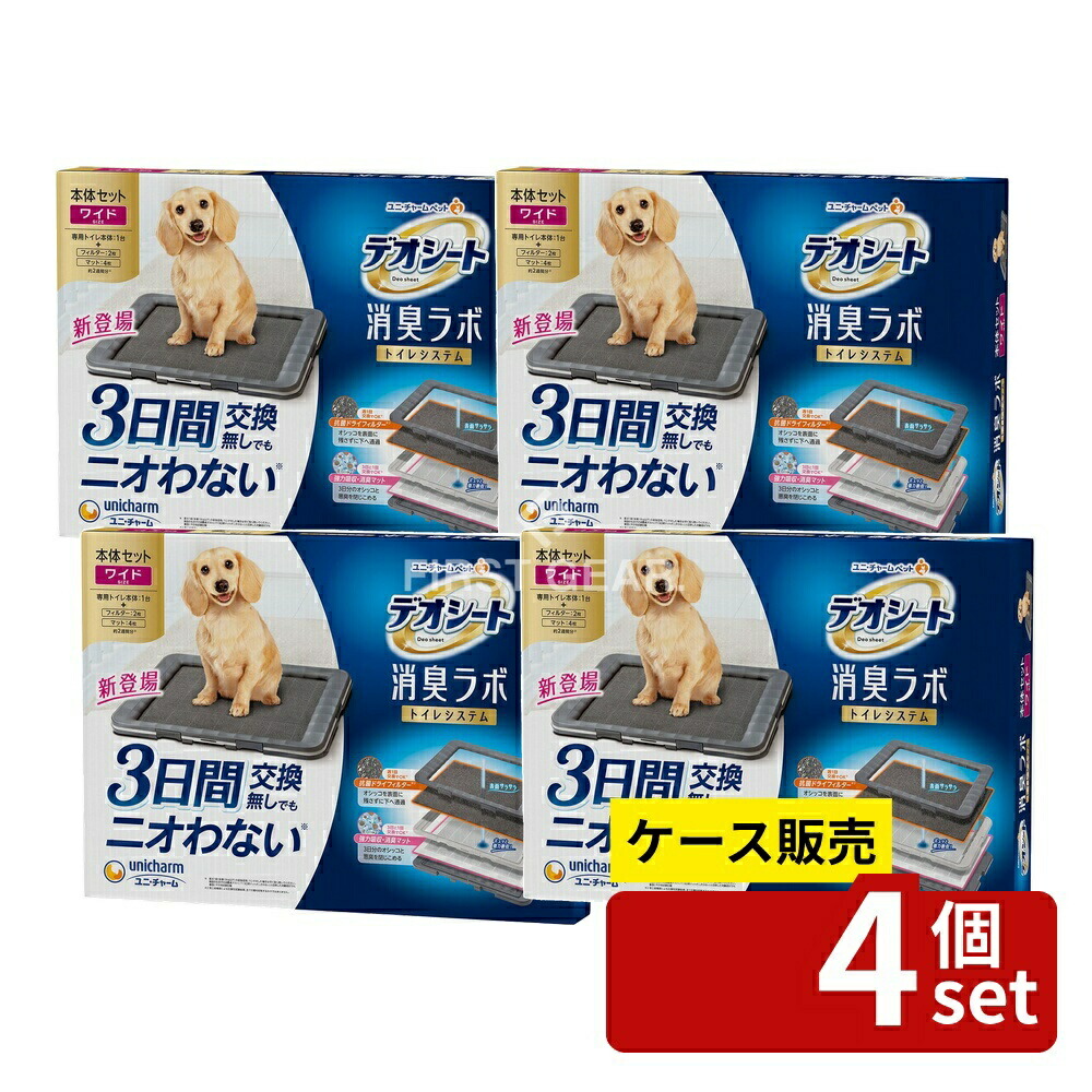 緑であること活動の領域