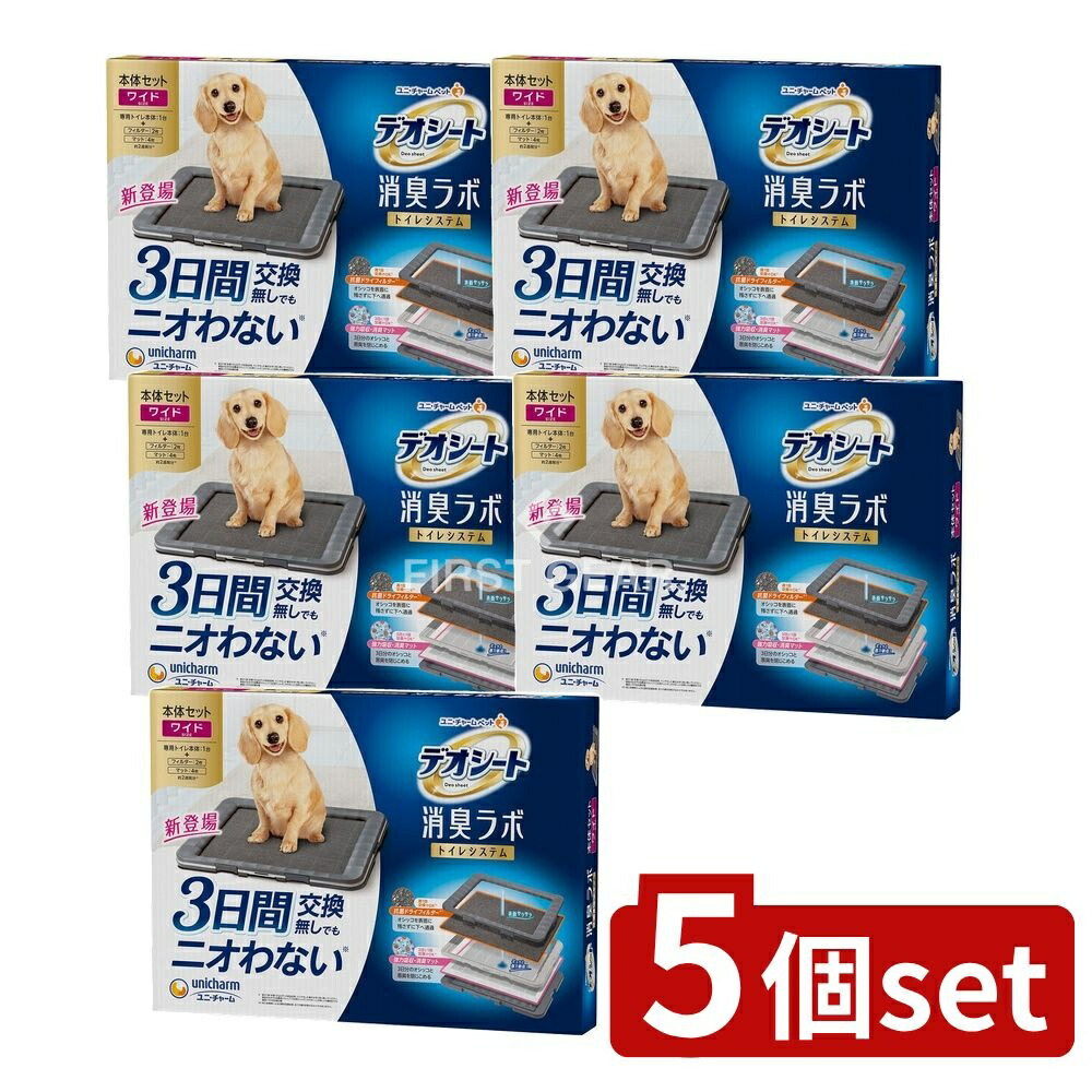 緑であること活動の領域