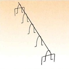 緑であること活動の領域