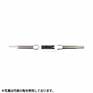 緑であること活動の領域