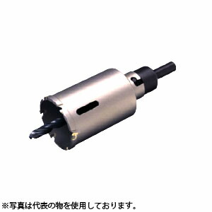 緑であること活動の領域